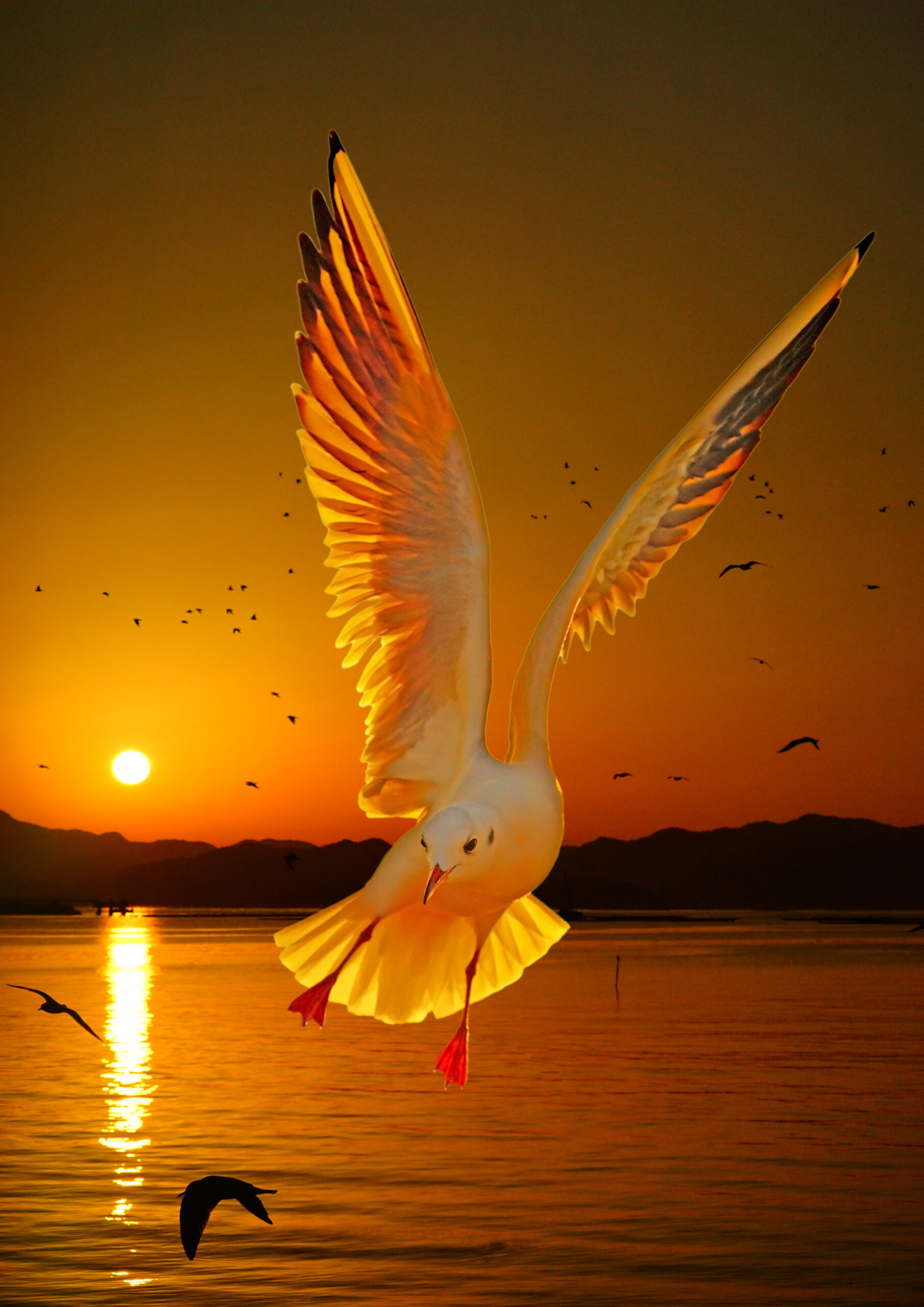 ギャラリー画像